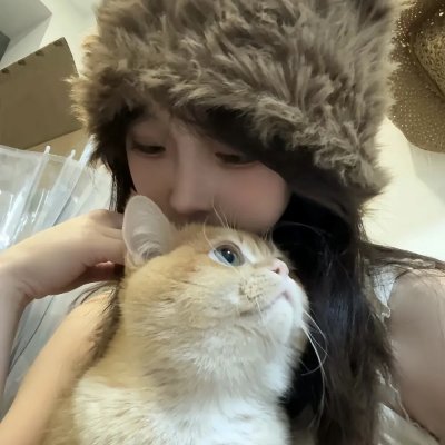 橱窗里的兔子先生